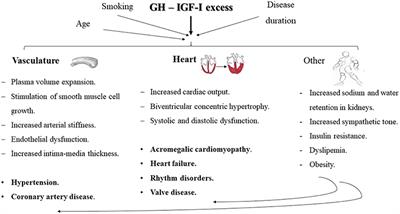 Bringing Cardiovascular Comorbidities in Acromegaly to an Update. How Should We Diagnose and Manage Them?